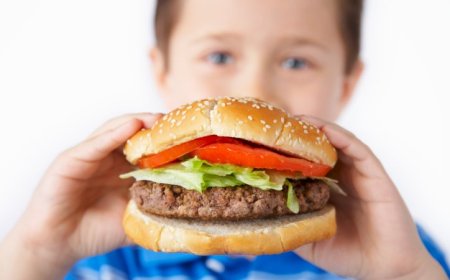 Hamburger Domana Kişeno!