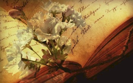 Şaranê Dınya ra Vatenê Verêna