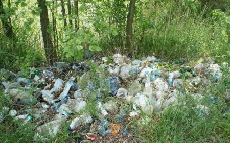 Dewê Ma Benê Qefçılın!