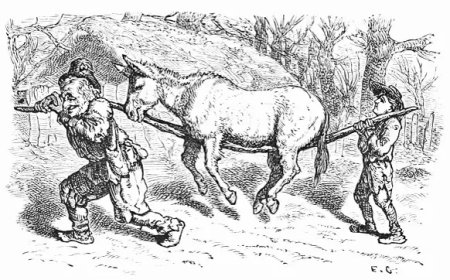 Pi be laci u heri ra