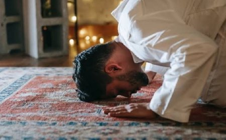 Bıngey Nımaci Sero