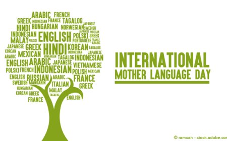 Roca zıwanê ma u pi’ya beynelmılele